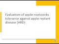 Evaluation of apple rootstocks in tolerance against specific apple replant disease. (W Truter)