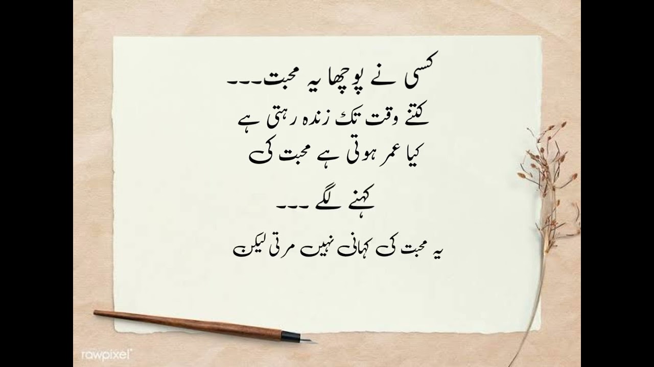 Muhabbat Nhi Marti ........ True Line Deep Line Poetry States shayari whatsapp states