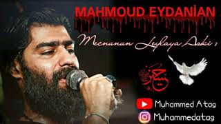 Mahmoud Eydanian ~ Mecnunun Leylaya Aşkı 2019 Sinezen Resimi