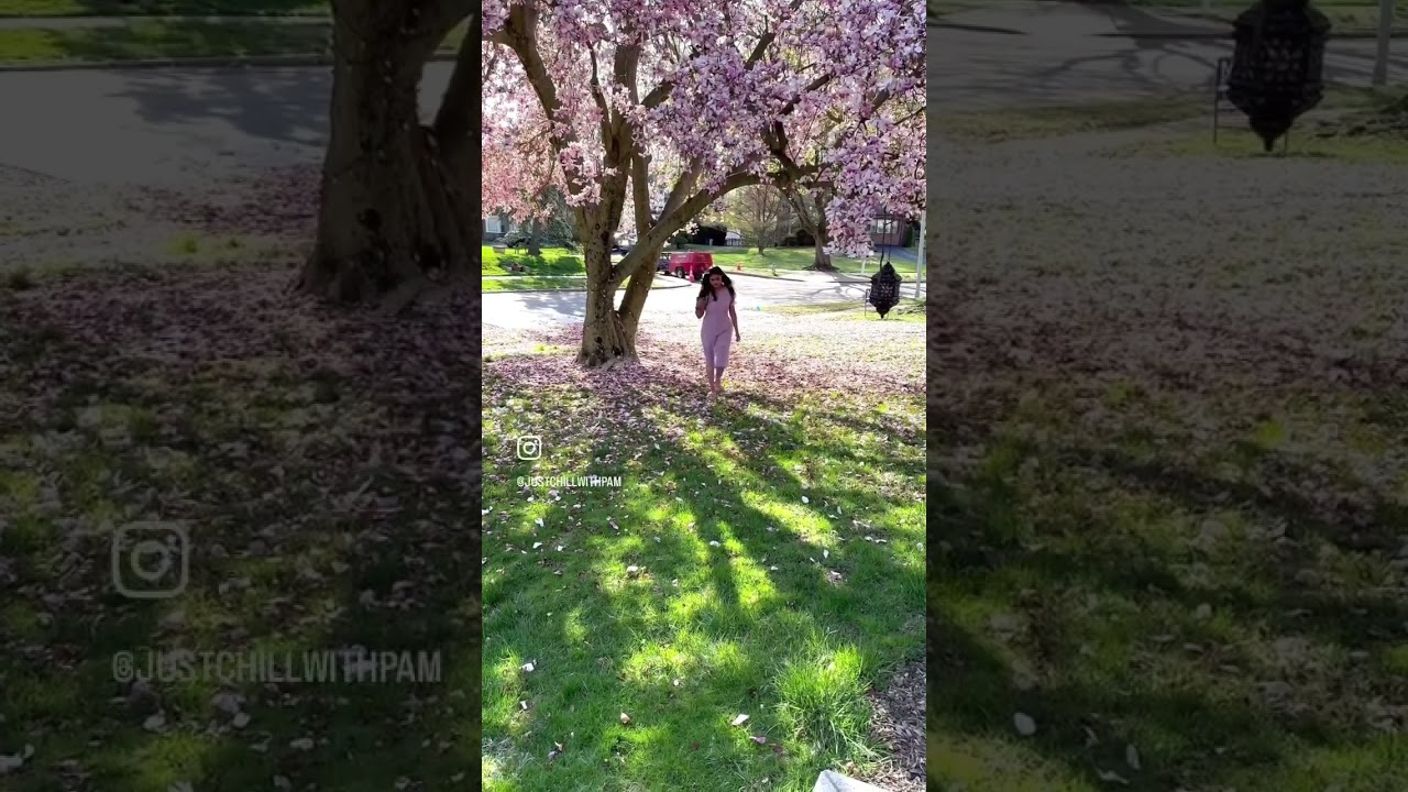 Twinning with 🌺 Garden 