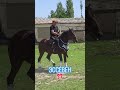 #music #deephouse #davvi #horse #лошадки #лошади #моялошадь #stallion #арабскиелошади