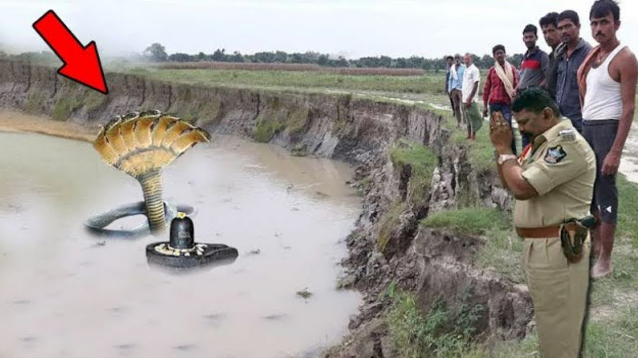 ಕುಕ್ಕೆ ಸುಬ್ರಮಣ್ಯದಲ್ಲಿ ನಡೆಯಿತು ಮಹಾ ಪವಾಡ | Kukke Subramanya | Sarpa Dosha | Kannada News | Dharmastala