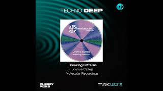 Techno Deep Cherry Picks 🎧