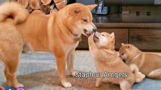 Pls Control Yourself