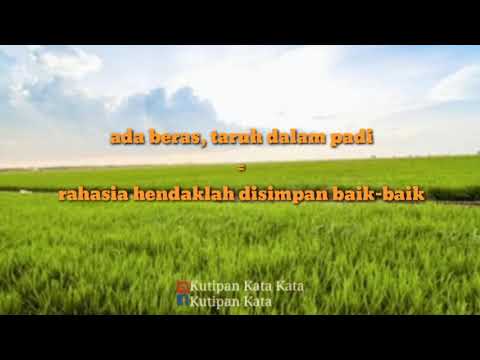 Peribahasa menggunakan kata padi | Quotes, Kata Bijak, Kata Mutiara