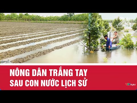 Nông dân trắng tay sau con nước lịch sử | VTV24