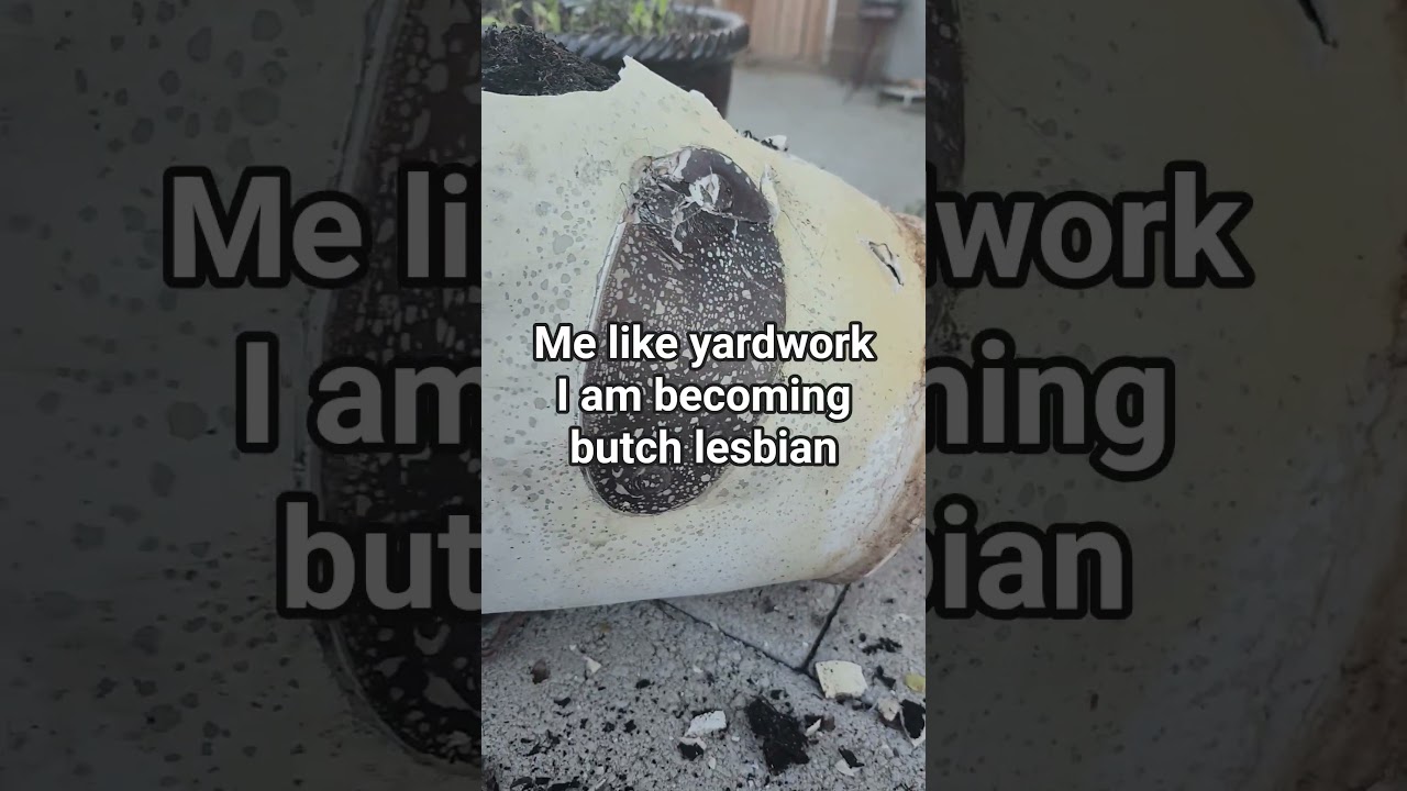 I have pulled weeds, manually mowed the lawn and repotted a plant and also picked up dog poop :333