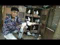 Pigeon in khandwa || mix kabootar || Aqib bhai ke mix kabootar