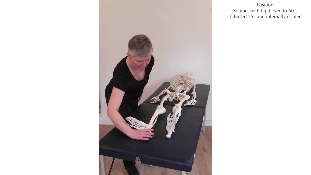Muscle Testing - Tensor fasciae latae