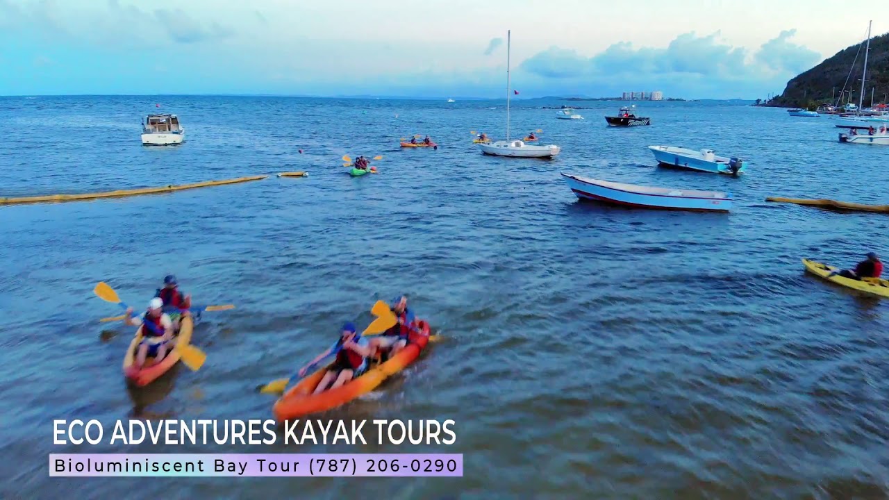 Eco Adventures Kayaks Bioluminescent Kayaks tour, Fajardo Puerto Rico