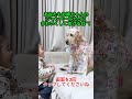 楽しみにしててね！