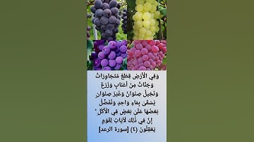 وَفِي الْأَرْضِ قِطَعٌ مُتَجَاوِرَاتٌ وَجَنَّاتٌ مِنْ أَعْنَابٍ وَزَرْعٌ ]   القارئ ماجد العويري