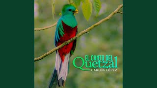 Video thumbnail of "Carlos López Sones - El canto del quetzal"