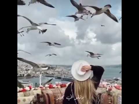 ياطير السنونو سلملي على عيونه
