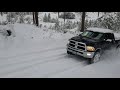 Cummins playing in snow