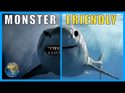 Video: Vai haizivis šeit bija pirms dinozauriem?