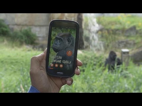 Βίντεο: Πληροφορίες επισκεπτών του ζωολογικού κήπου του Μέμφις