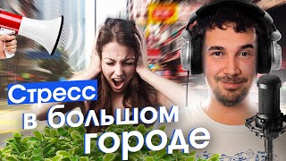 Почему нас бесит город