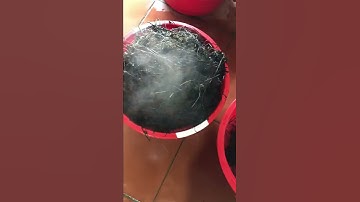 Cơ sở sản xuất thạch đen vi thảo0936741549