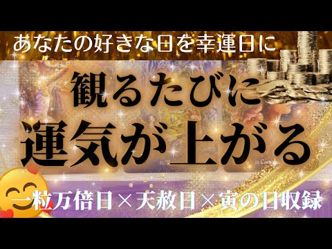 【No.1幸運日🌾収録】観るだけで運気爆上げ🌈💥黄金カードで特別リーディング🐲作業用にもオススメ