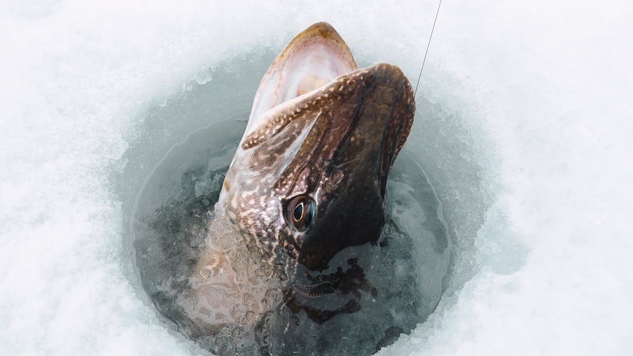 Craziest Underwater Footage I've Ever Captured (Ice Fishing For Pike) 