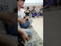 ايقاع ردح شباب الكوت اسمع وردح اذا تحبون هيج اكتبلونه بتعليقات ايقاع ردح شباب الكوت اسمع وردح اذا تحبون هيج اكتبلونه بتعليقات
