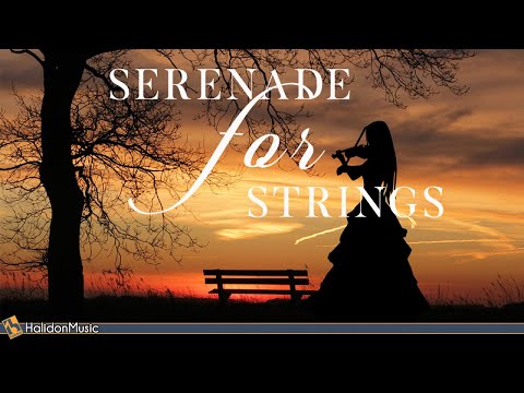 Serenade for Strings - Tchaikovsky, Dvorak, Mozart