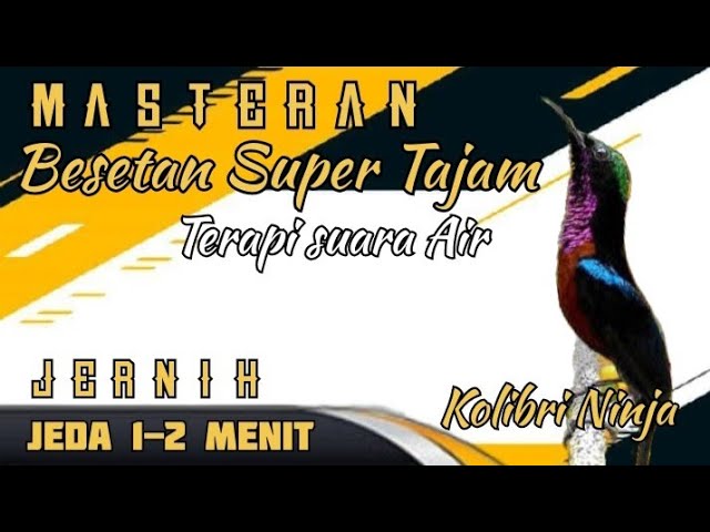Masteran Dahsyat kolibri Ninja full Besetan II Jeda 1 Menit + Suara Air class=