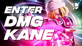 INTRODUCING DMG Kane - Smash Ultimate Sheik Montage