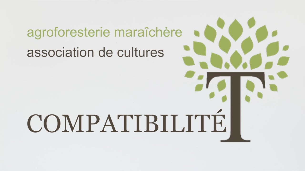 ASSOCIATION DE CULTURES    Compatibilit