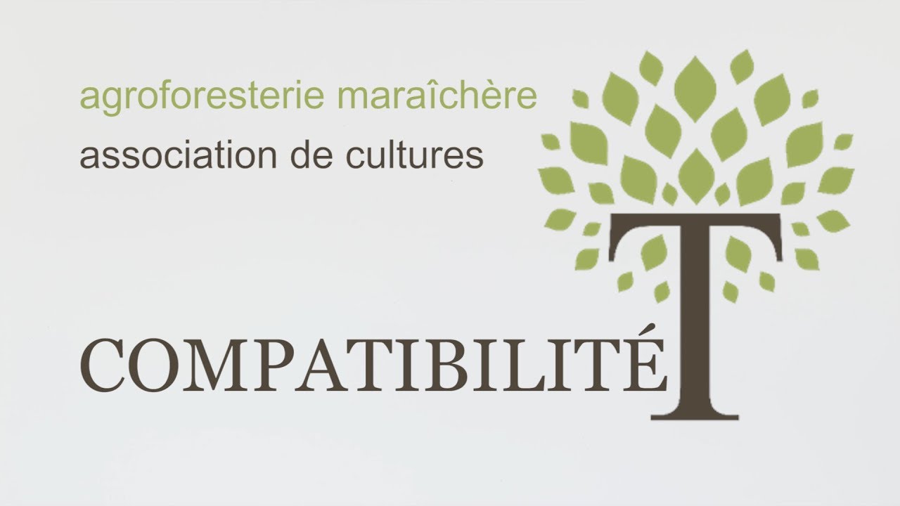 ASSOCIATION DE CULTURES -  Compatibilité