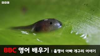 이것만 들으면 영어 귀가 뚤립니다 | 영어 회화