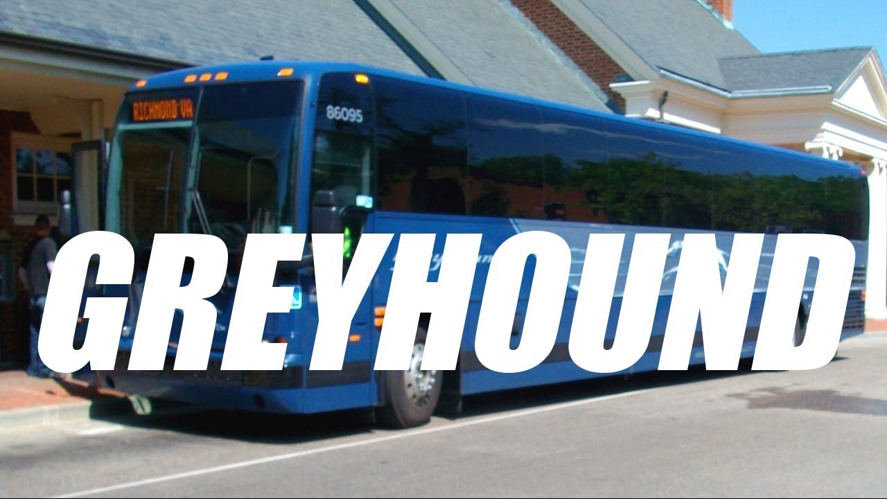 greyhound travel information