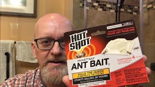 Killing Ants With Bait Traps