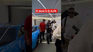 EL ALFA & EL DOTOL CON ALOFOKE EN MIAMI ✈️🤑 #alofokeradioshow #eldotolnastra #elalfaeljefe