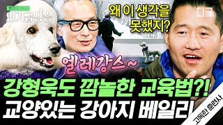 [#인기급상승] '엘레강스~'를 알아듣는 교양 있는 강아지 강형욱도 생각 못 한 교양 교육받은 미술관 마스코트 | #고독한훈련사