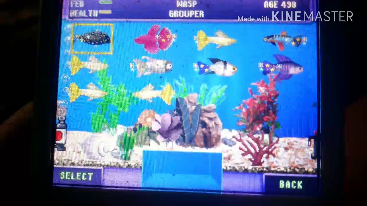 Fish Tycoon Magic Fish Chart Pictures