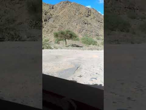 العقبة الجديدة بورتسودان