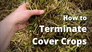 2 Methods for Terminating a Cover Crop
