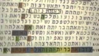 הגרוש מגוש קטיף גלזרסון