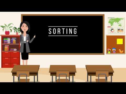 ANIMATION SORTING - YouTube