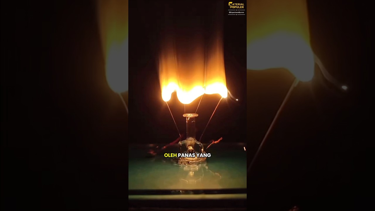 Tidak Semua lampu Tungsten Setara #faktaunik