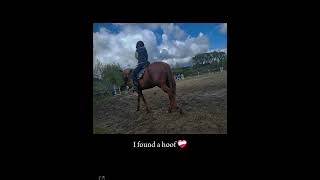 I Found A Hoof