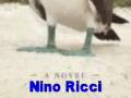 Nino riccithe origin of speciesauthor interview