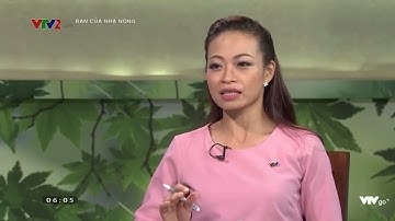 GĐ công ty Dược liệu Đông Bắc - Phóng sự VTV2 về Dược liệu