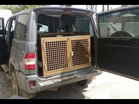 Клетки для перевозки собак в автомобиле своими руками