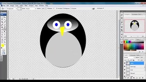 Photoshop Lesson 1 Practice 2 - Penguin