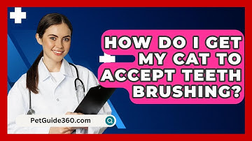 How Do I Get My Cat To Accept Teeth Brushing? - PetGuide360.com