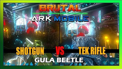 Gula Beetle (Dung beetle) Boss Battle. Pump Shotgun VS Tek Rifle With AsianRom3o: Ark Mobile