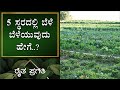    5      ep 19  natural farming  raitha pragathi